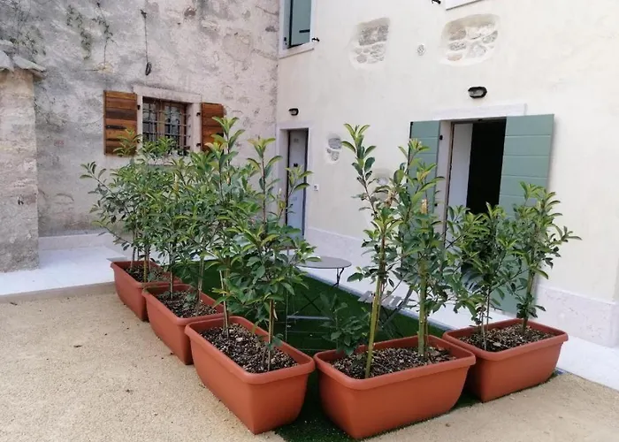 Le Anze Torri del Benaco